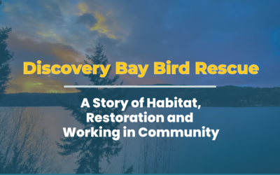 Discovery Bay Wild Bird Rescue